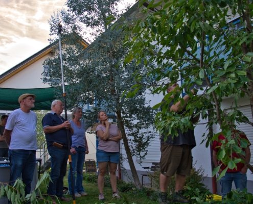 Sommerschnittkurs