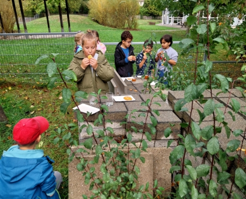 Apfeltag_2026_045